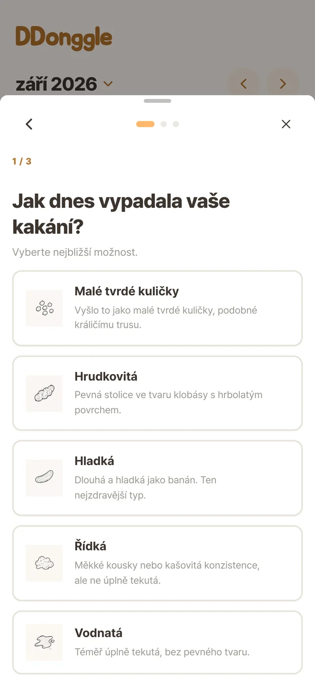 Obrazovka Ddonggle pro výběr stavu stolice