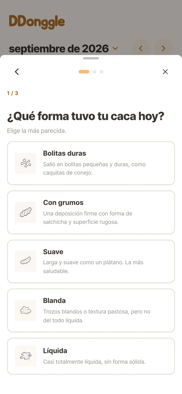 Pantalla de Ddonggle para elegir el estado de la evacuación