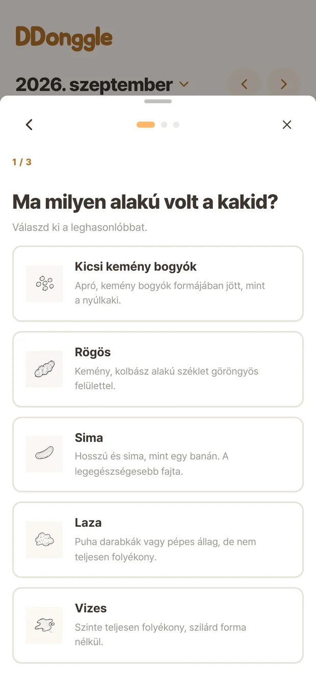 Ddonggle-napló képernyő az állapot kiválasztásához