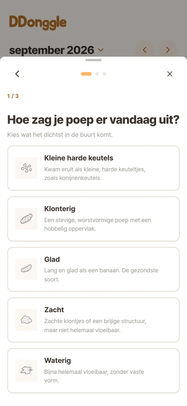Ddonggle-scherm om de toestand te kiezen