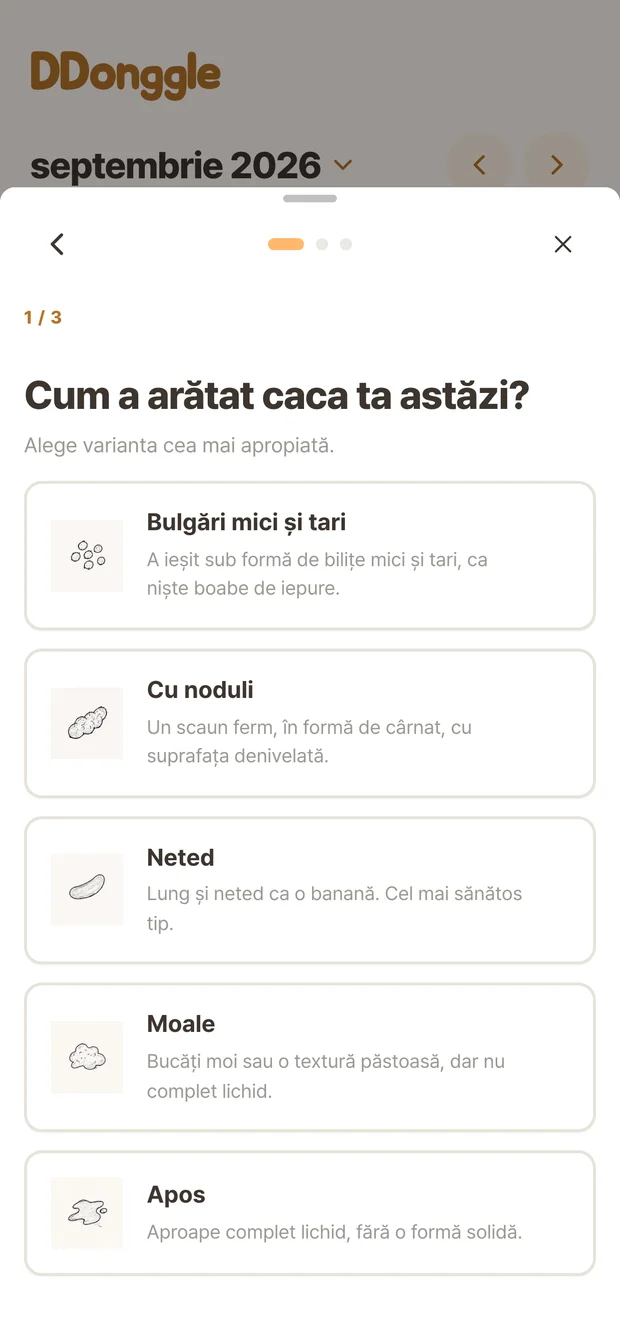 Ecranul de înregistrare Ddonggle pentru alegerea stării scaunului