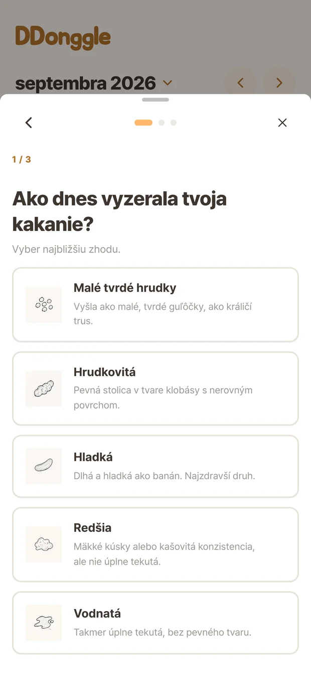 Obrazovka záznamu Ddonggle na výber stavu stolice