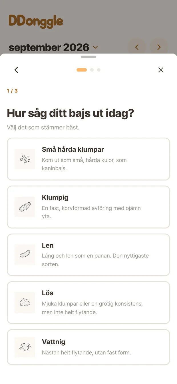 Ddonggles registreringsskärm för att välja tillstånd