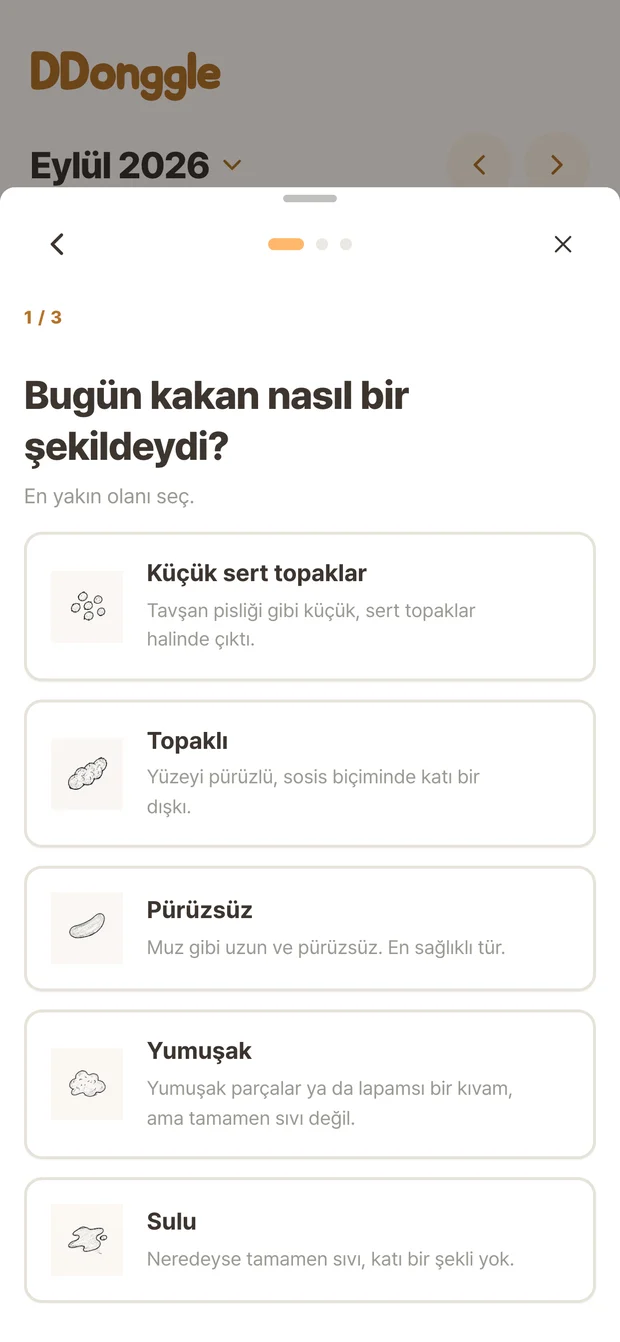 Durum seçimi yapılan Ddonggle kayıt ekranı