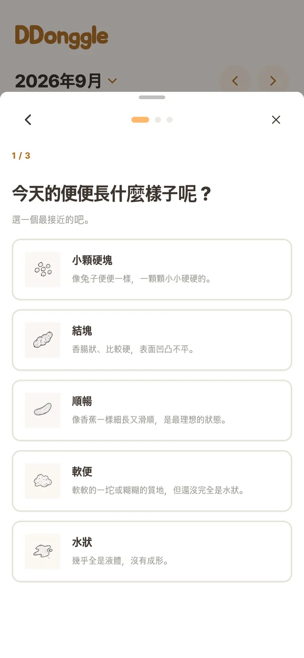 Ddonggle 記錄畫面，可選擇排便狀態